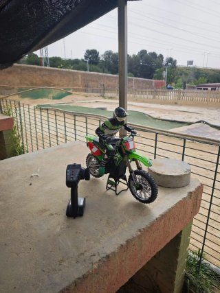 LOSI RC 1/4 Promoto-MX Moto RTR