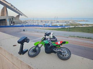 LOSI RC 1/4 Promoto-MX Moto RTR