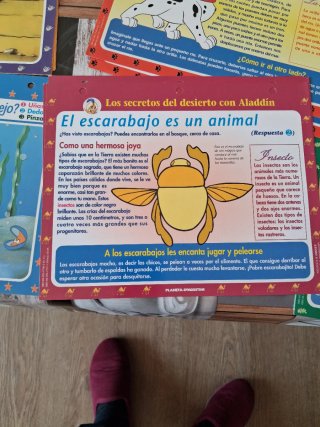 Laminas Disney Preguntas y Respuestas