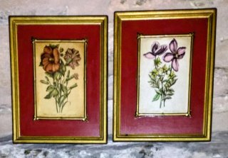 2 CUADROS vintage PAPAVER SOMNIFERUM y CLEMATIDES
