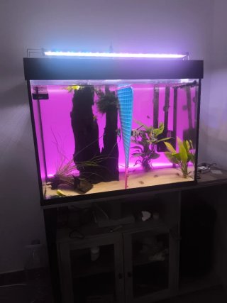 Acuario 180L Negro y Transparente