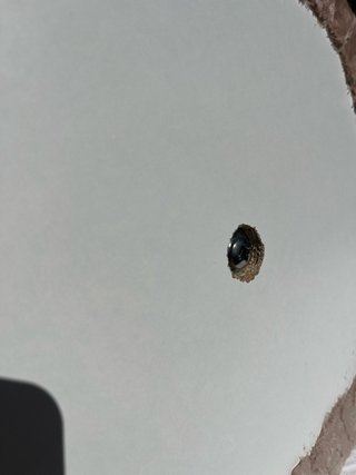 Rascador Artesanal desmontable para gatos