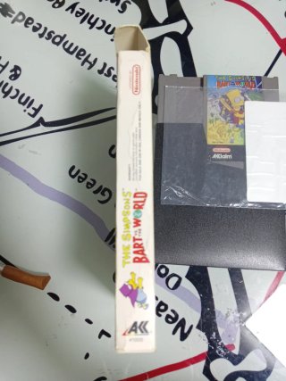 The Simpsons: Bart vs. the World Nintendo nes