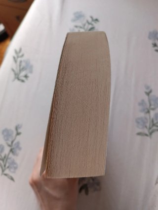 Corazón de piedra (Trilogía Sangre de Plata 1):...