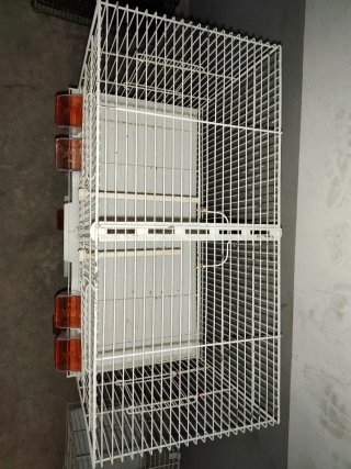 LOTE JAULAS PARA PÁJAROS COMPLETAS + ACCESORIOS