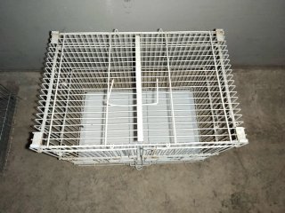 LOTE JAULAS PARA PÁJAROS COMPLETAS + ACCESORIOS