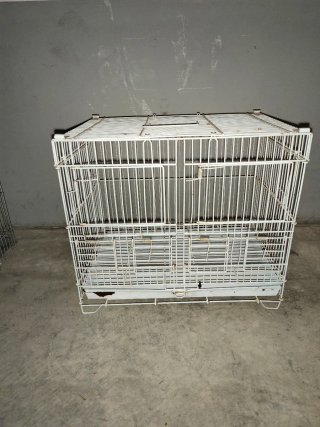LOTE JAULAS PARA PÁJAROS COMPLETAS + ACCESORIOS