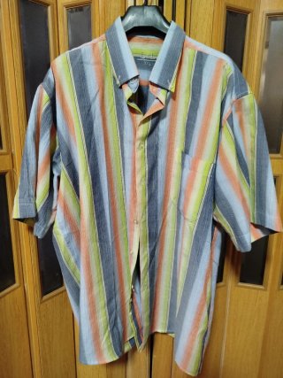 Camisa L&L Rayas Multicolor