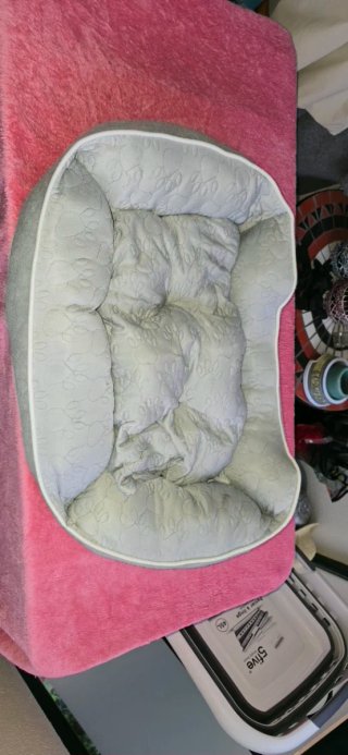 Cuna para perro/gato gris