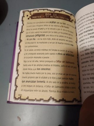 Diario de un aldeano
