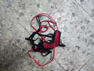 Jaula hámster/roedores pequeños