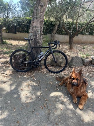 Bicicleta de carretera Megamo