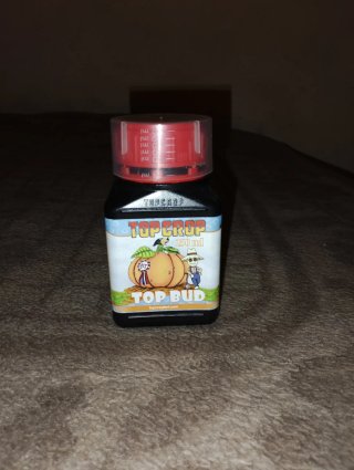 Top Crop Top Bud 250ml