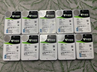 10DischiFissiSeagateExos18TB