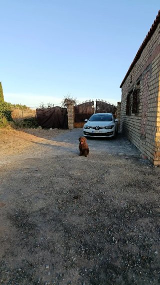 Una casa   en el cuervo