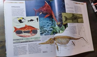 Los Dinosaurios