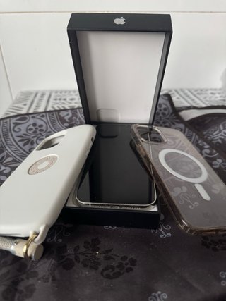 iPhone 12 Pro Max Plata