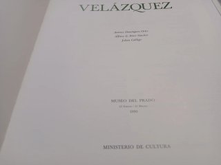 Libro Pintor Velázquez