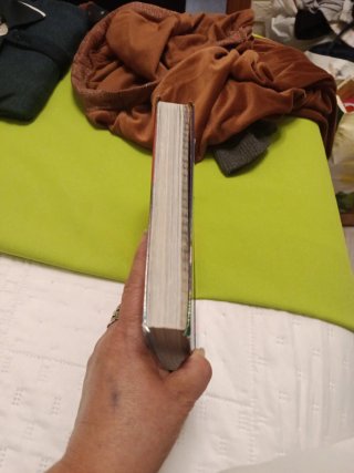 Octavo viaje al Reino de la Fantasía. ¡Descubre...