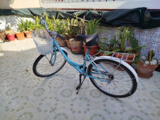 Bicicleta de paseo