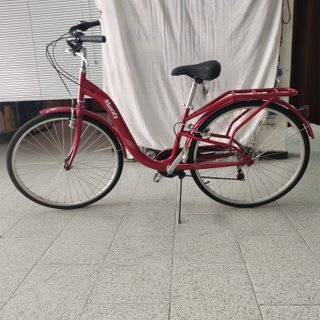 Bicicleta Paseo