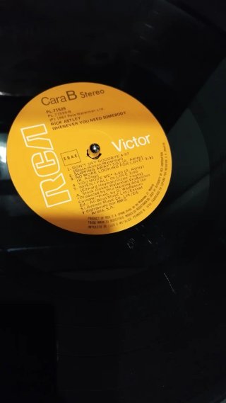 Lote 3 Vinilos Rick Astley