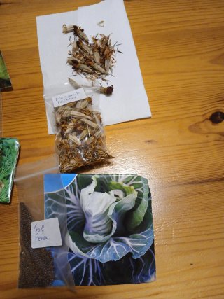 Semillas Huerto y Flores Variadas