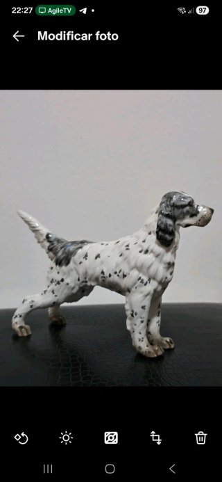 Setter Inglés Porcelana Martinu