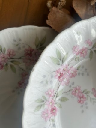 Platos llanos porcelana Bavaria flores