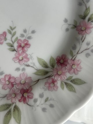 Platos llanos porcelana Bavaria flores