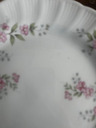 Platos llanos porcelana Bavaria flores