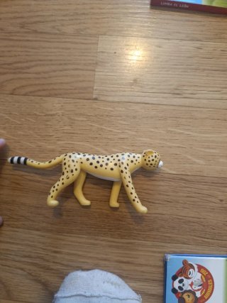 Colección de libros y su animal. Infantil