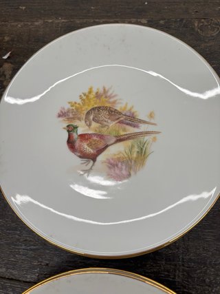 6 Platos Dibujo Animales