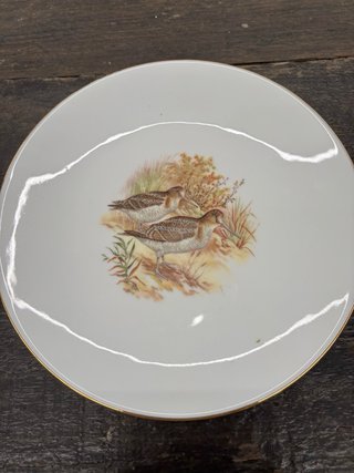 6 Platos Dibujo Animales