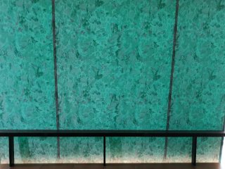 "URGE VENDER" 4 TOLDOS VERDES ENROLLABLES VERTICAL