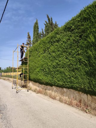 Jardinero
