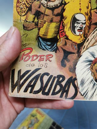 Dos tebeos, EL PODER DE LOS WASUBAS + RAYO DE LA SELVA