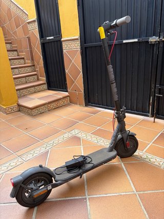 Patín Eléctrico Xiaomi