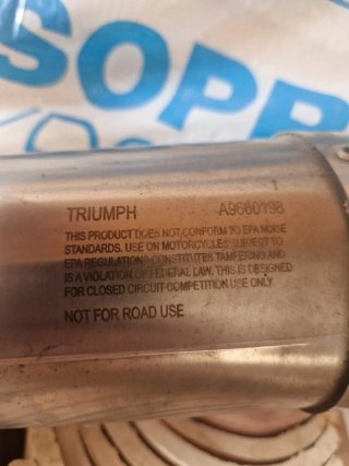 Escape Arrow triumph