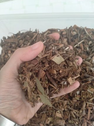 Madera triturada para terrarios