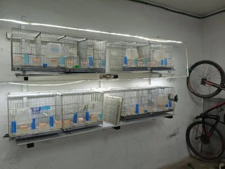 Aviario completo para pájaros