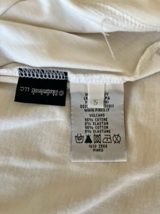 Maglietta Pinko con ricamo Dax