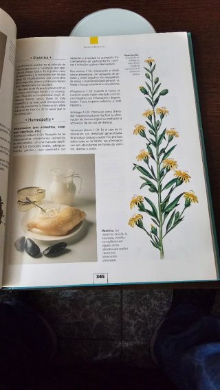 Libro Medicinas Alternativas