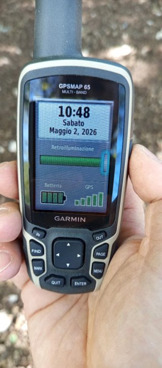 Garmin GPSMAP 65