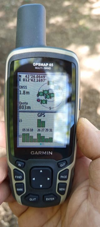 Garmin GPSMAP 65