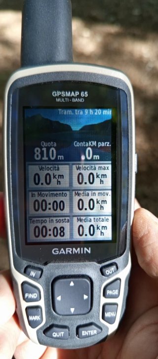 Garmin GPSMAP 65