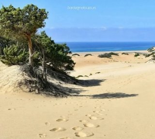 Casa vacanze in Sardegna, Ingurtosu - Piscinas