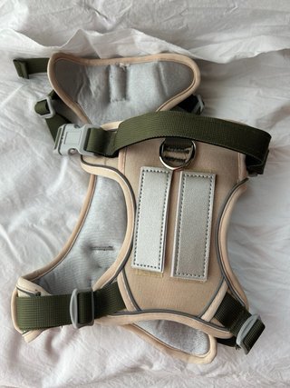 Arnés para perro beige y verde