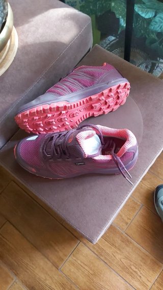 Zapatillas The North Face Gore-Tex Mujer