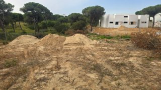 Desbroces de parcelas Huelva